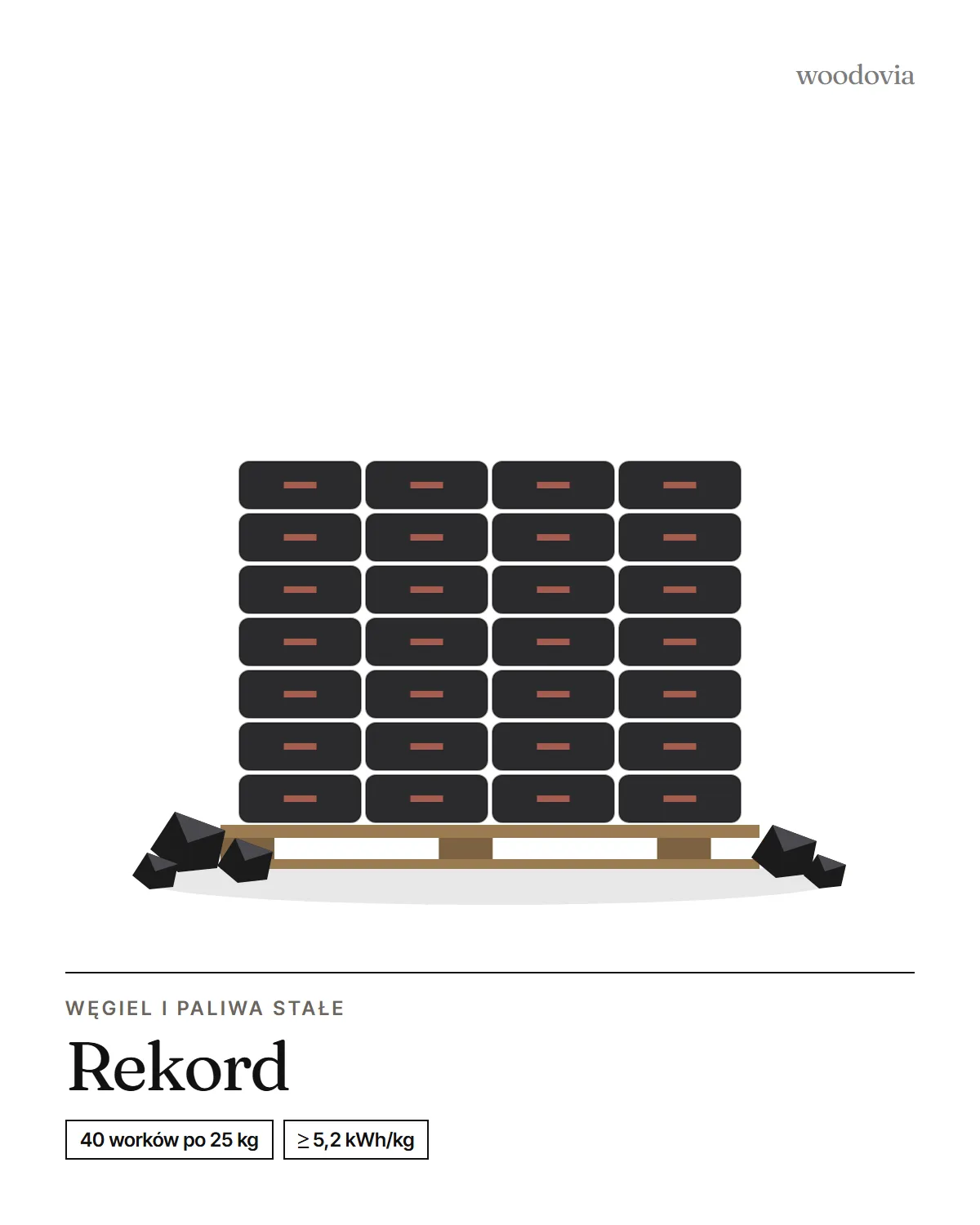 Brykiet z węgla brunatnego Rekord 25-60 mm, worki 25 kg, paleta 1 000 kg